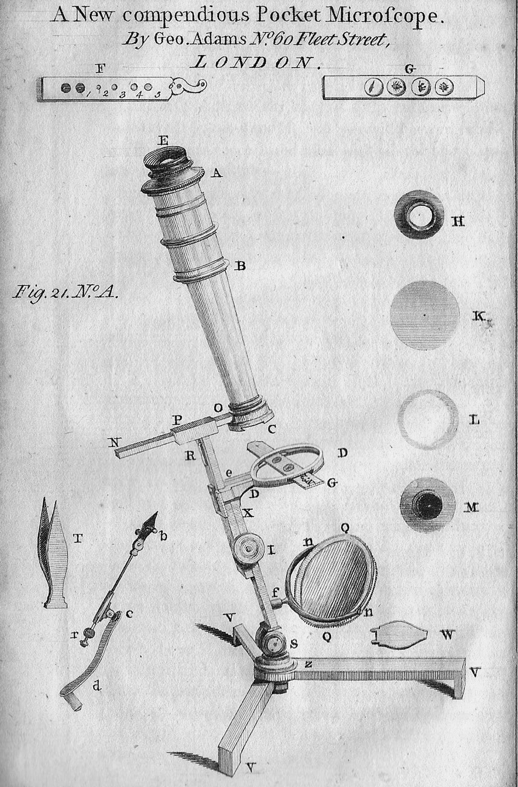 Adams Microscope