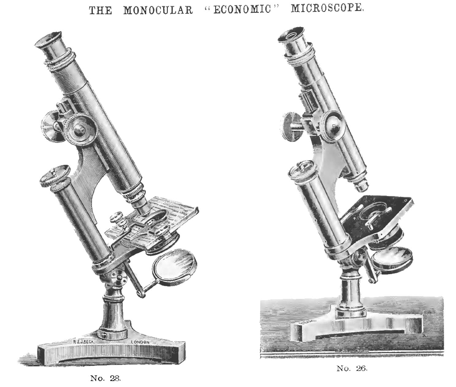 Beck Economic Microscope Engravings