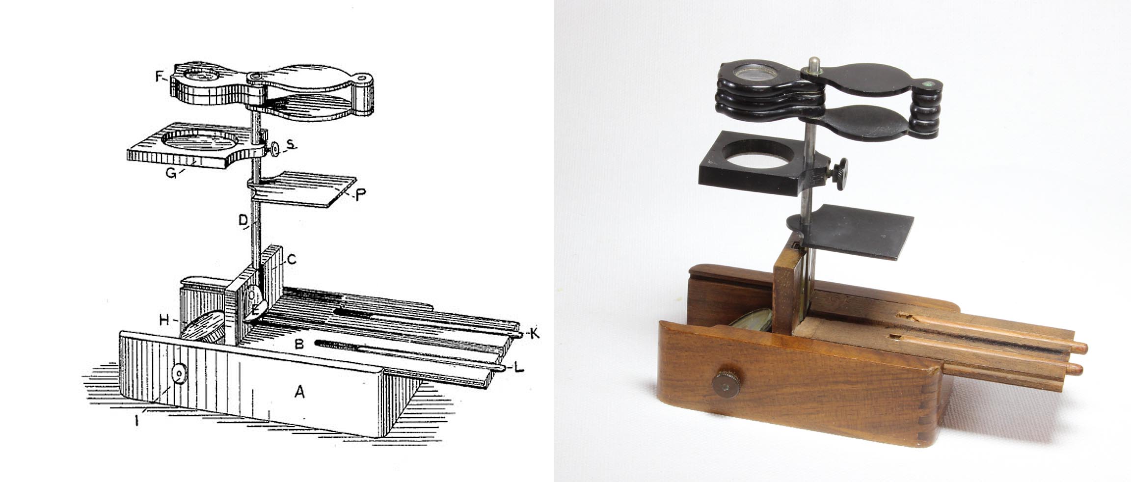 Excelsior microscope