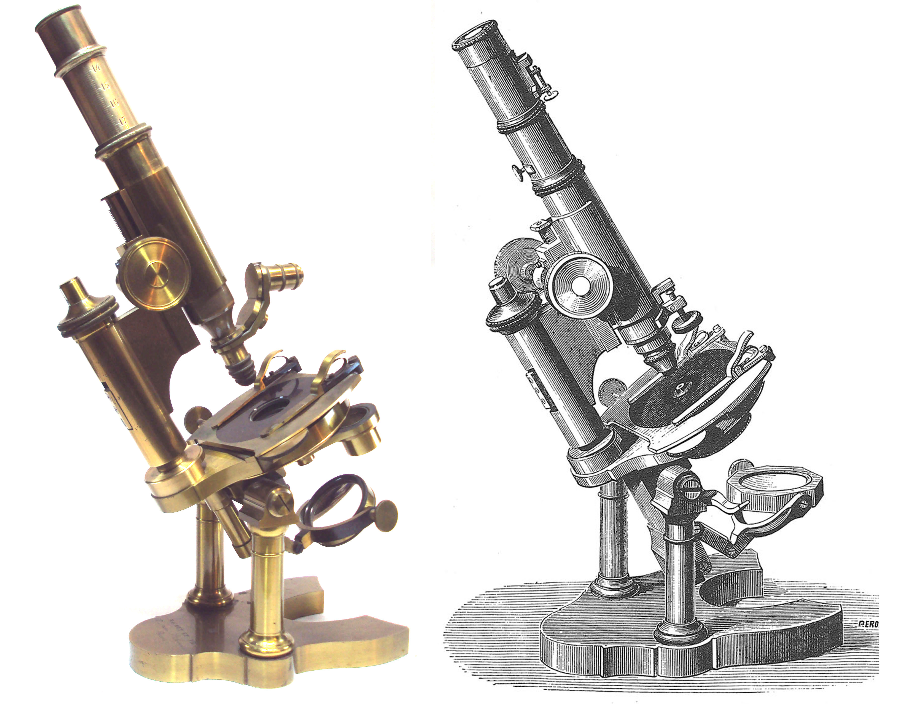Grand Microscope by Nachet