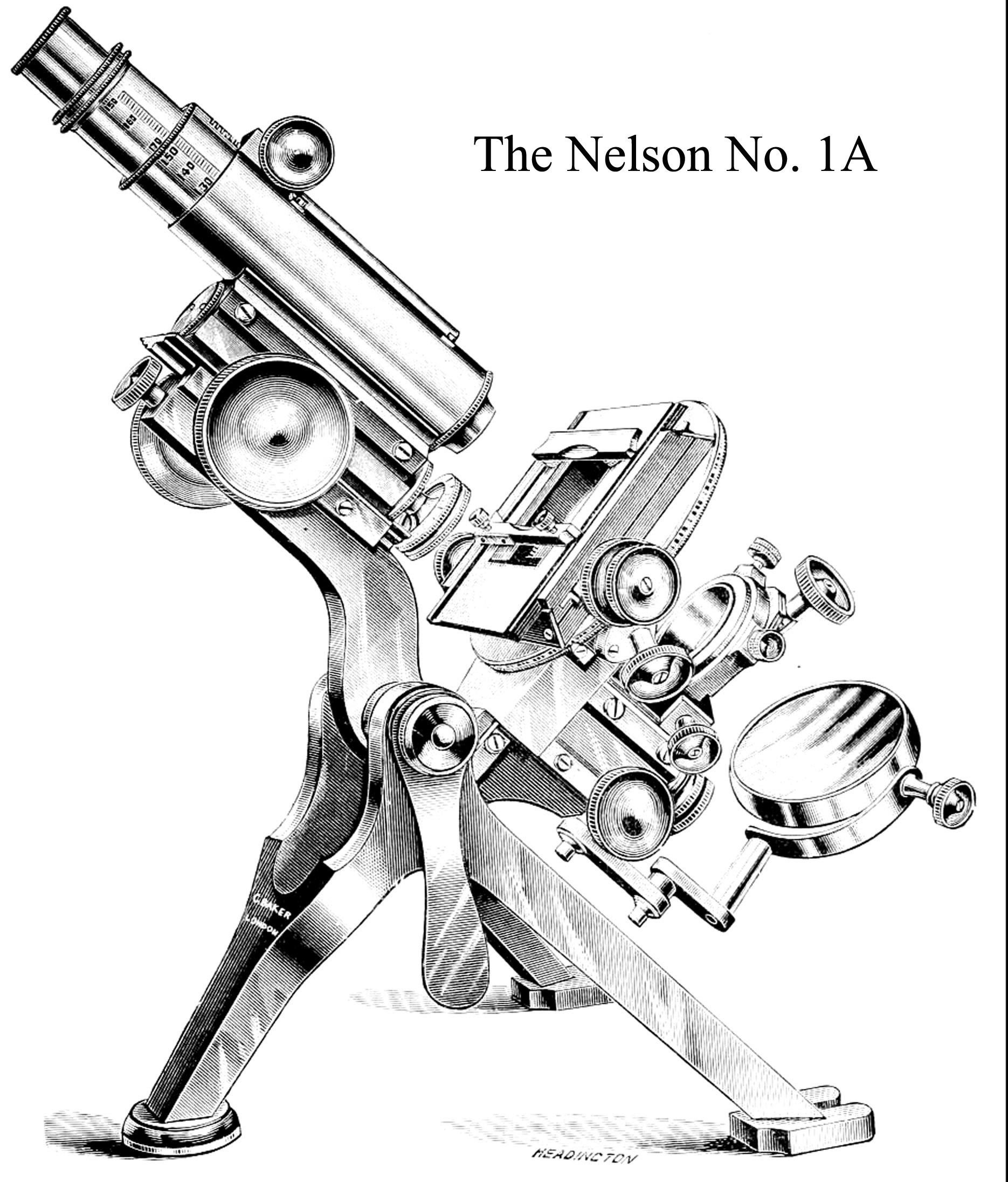Illustration of the Nelson No 1 microscope from Carpenter
of 1901