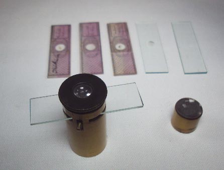 Waechter's Achromatic Simple Microscope Outfit