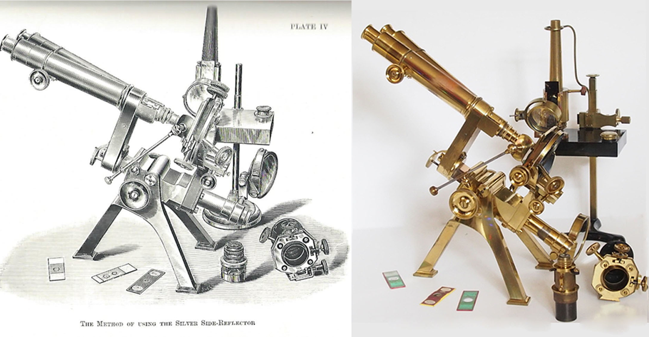 P and L microscope 
