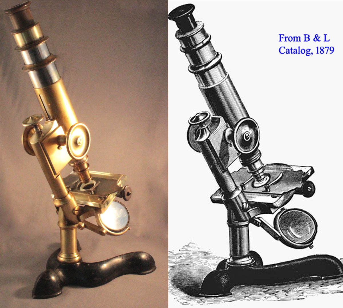 Physician's Microscope of 1878