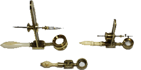 INSECT OR FLOWER MICROSCOPES