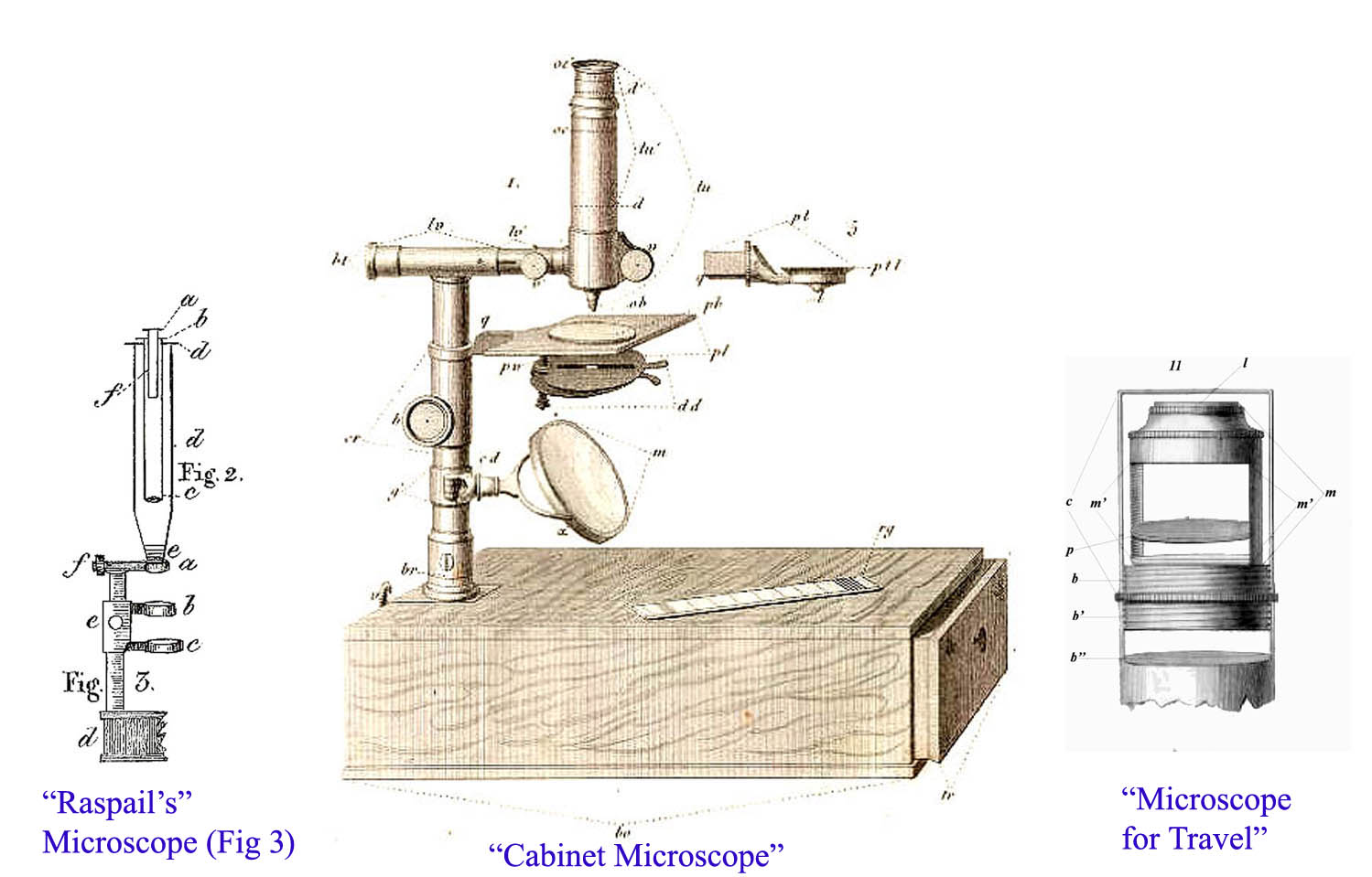 raspail microscopes