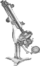 Model A microscope