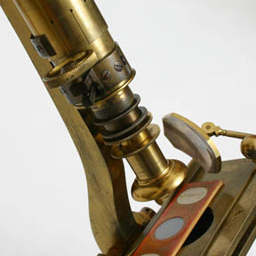 JB DanceER Microscope closeup