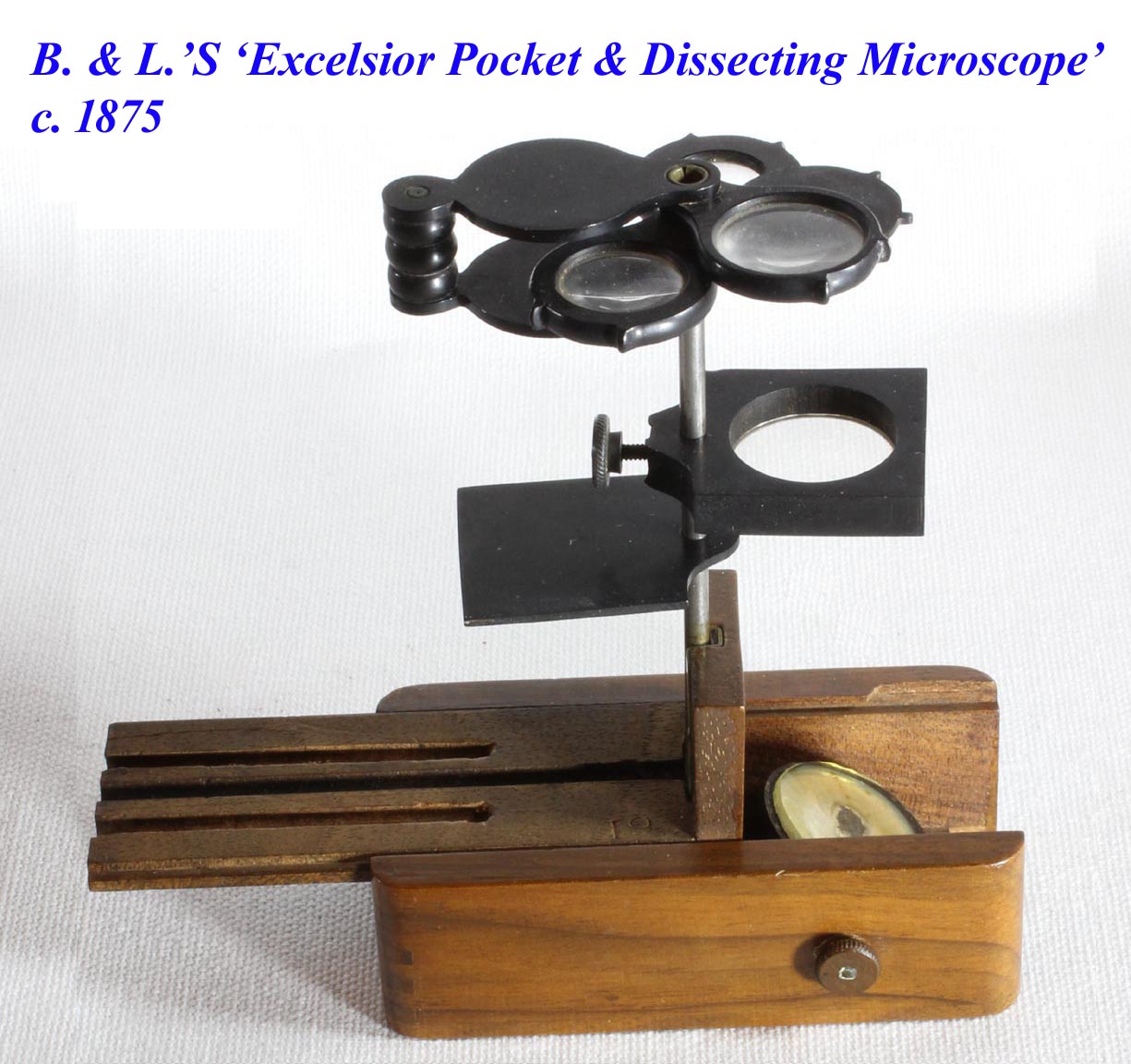 excelsior microscope