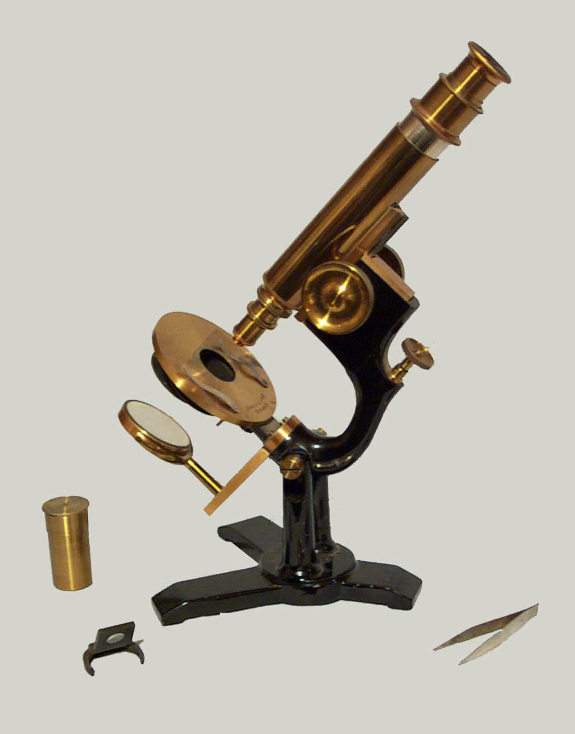 Model Microscope