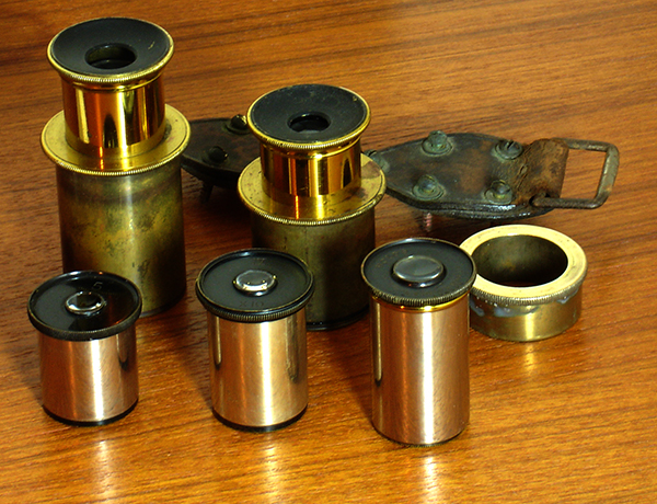 Eyepieces with Nelson-Curties Microscope