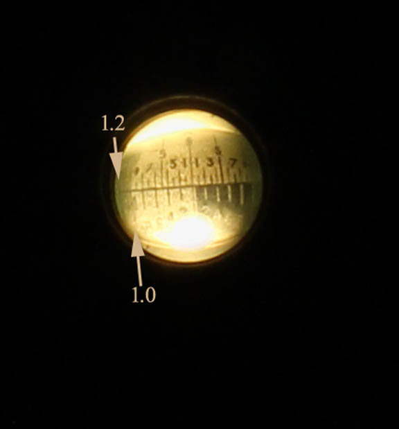 magnified back focal plane of oil immersion objective