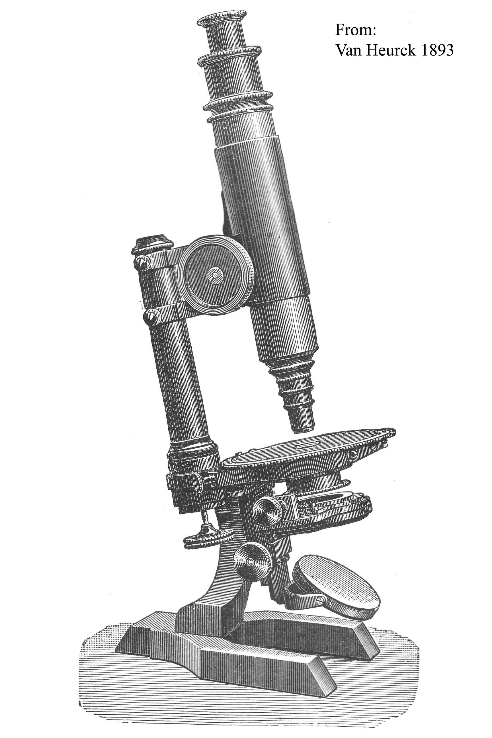 Seibert No 2 Microscope Engraving from Van Heurck, 
The Microscope about 1893