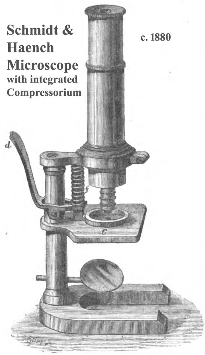 trichinoscope