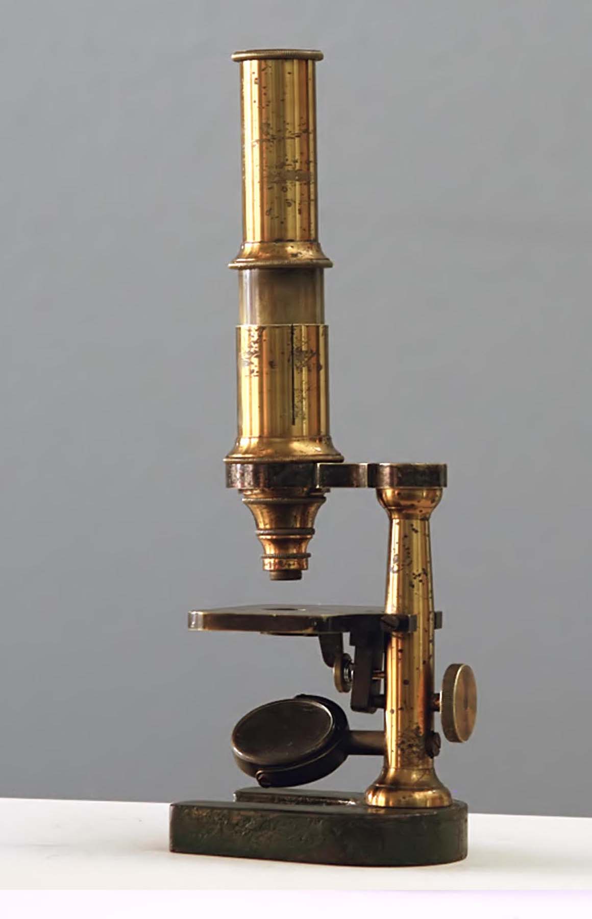 Paul Waechter Microscope IV 2