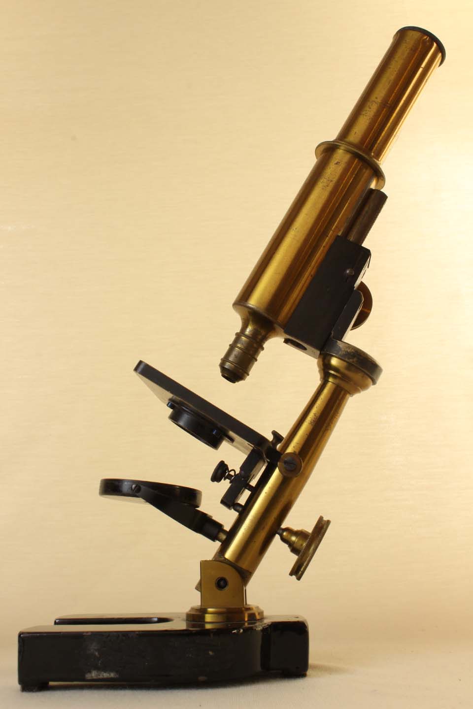 Paul Waechter Microscope IV 6