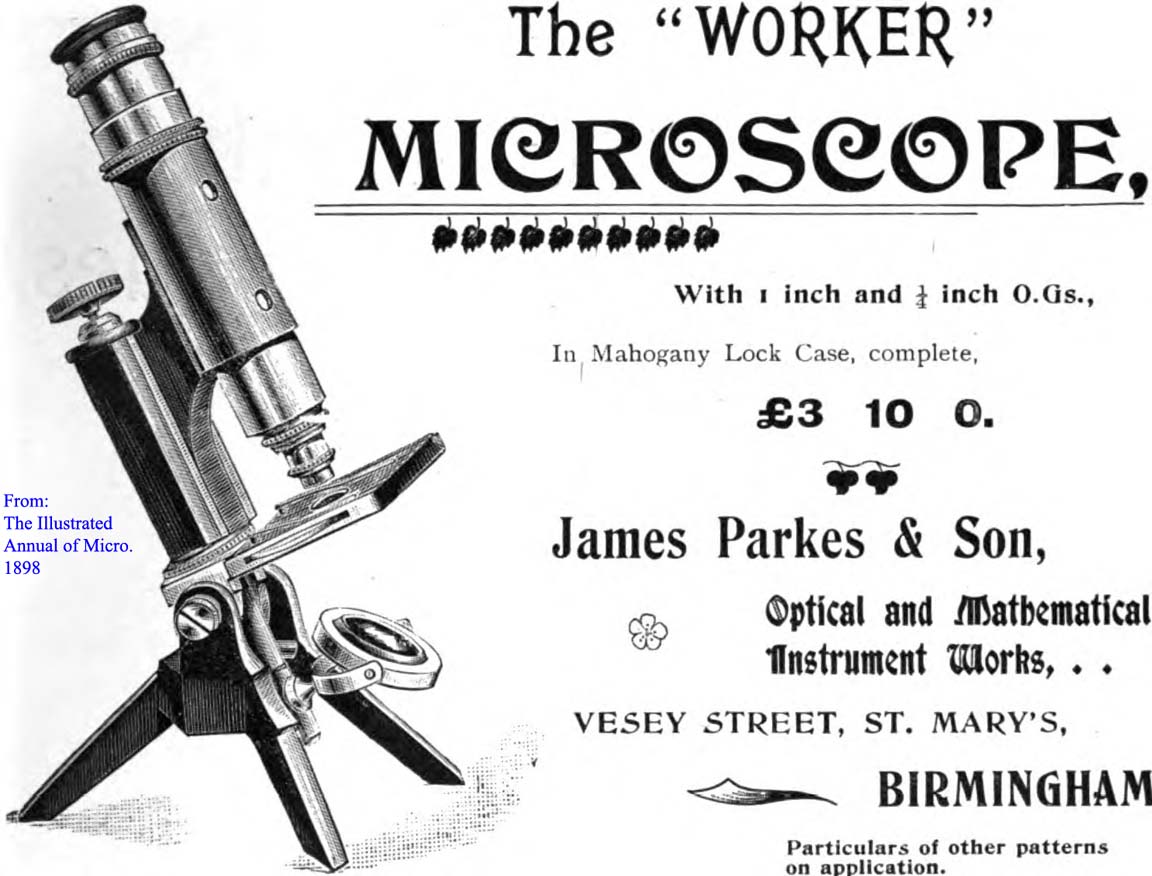 worker microscope
