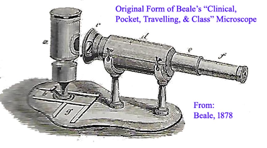 Beale demo 1st form