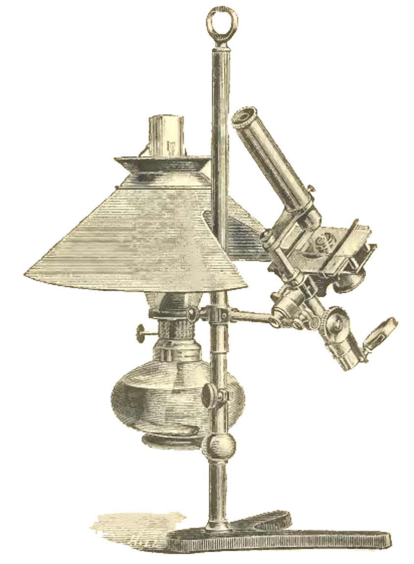 Jubilee  Microscope right side