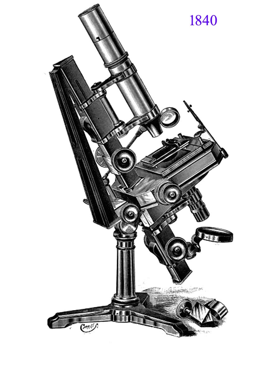 powell microscope