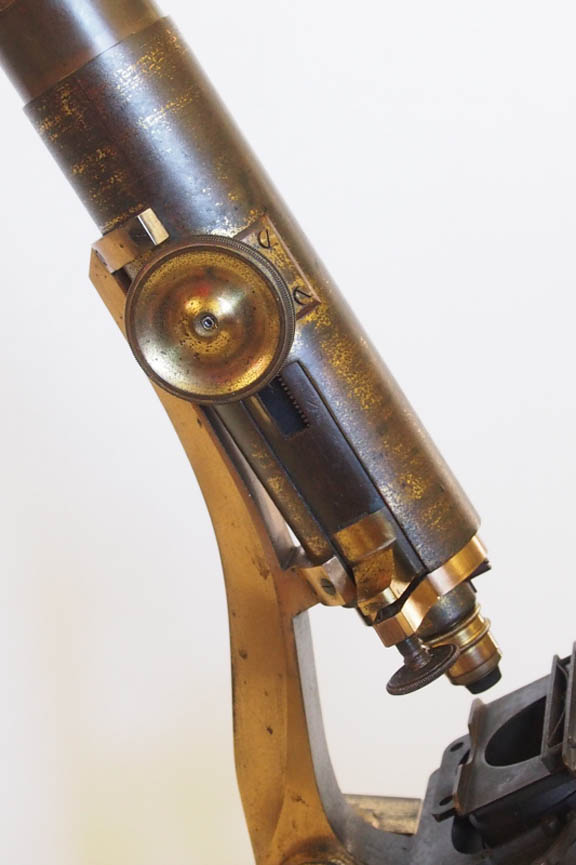Ross Lister limb Microscope Main tube