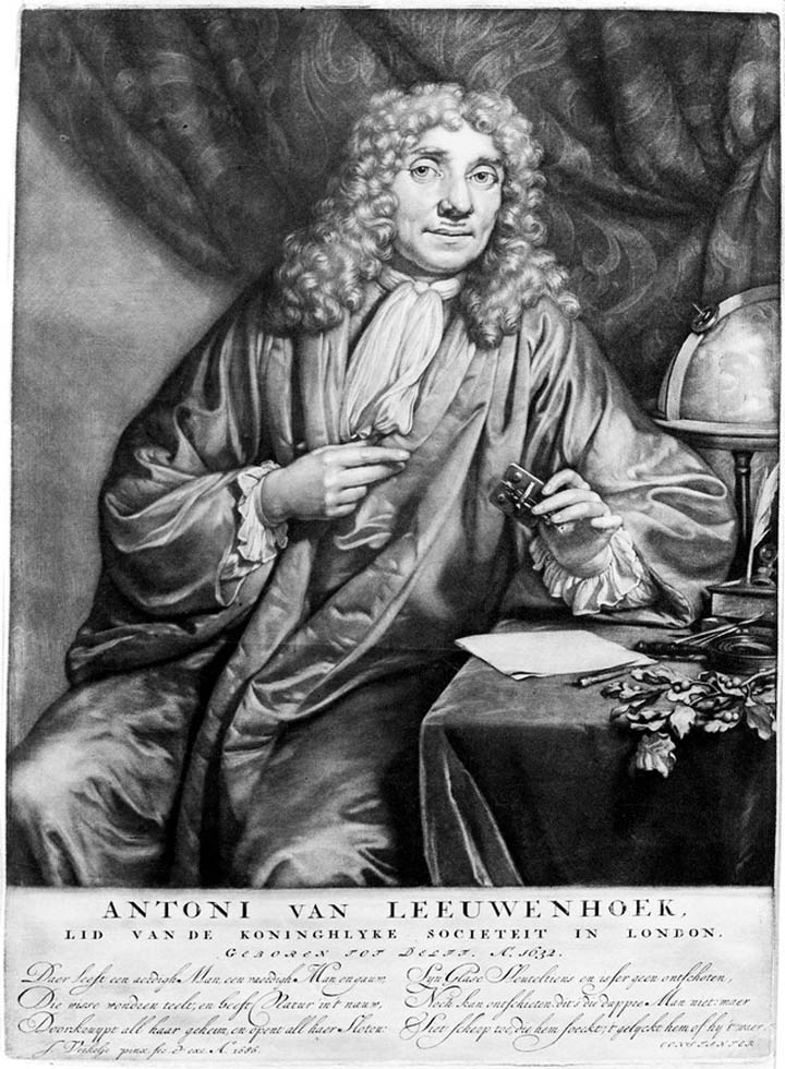 portrait of van Leeuwenhoek