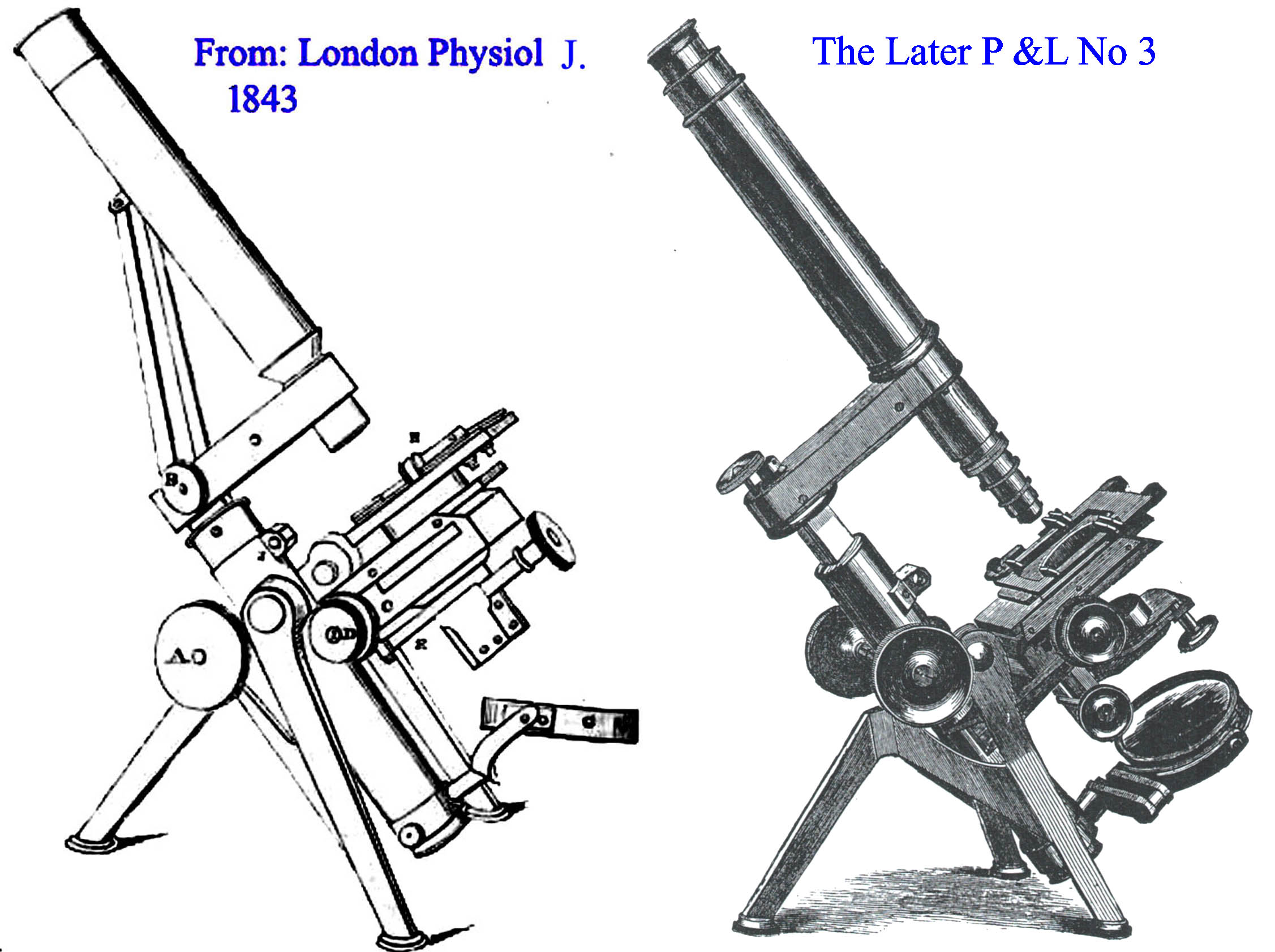 P and L microscopes 