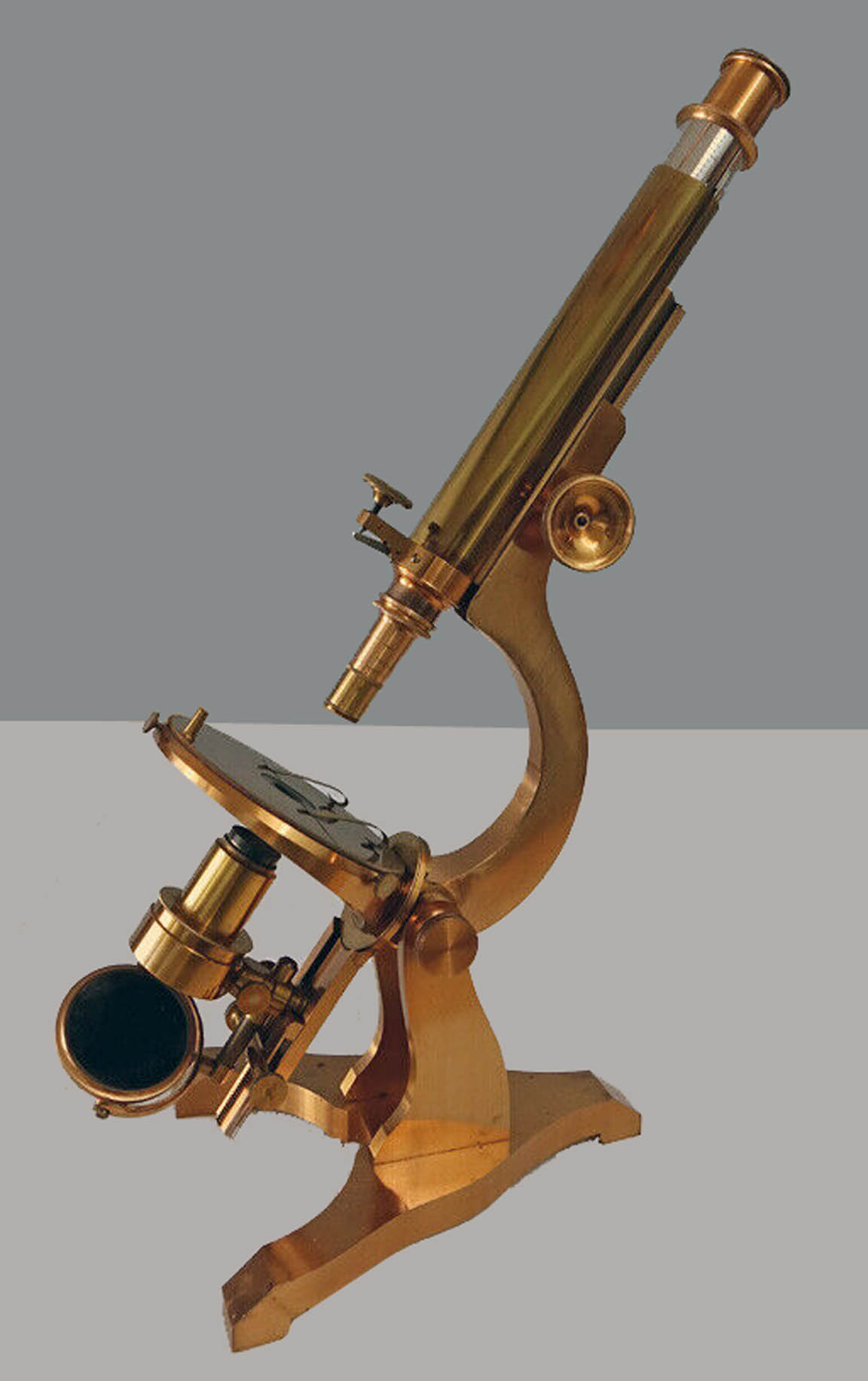 Dalton student microscope