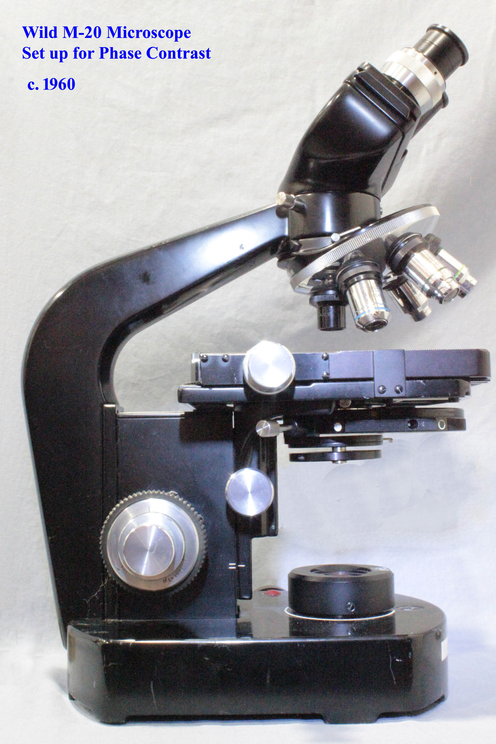 Wild M20 Phase Contrast microscope