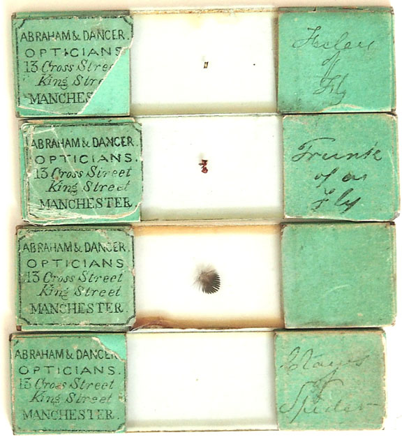  Abraham & Dancer  microscope
