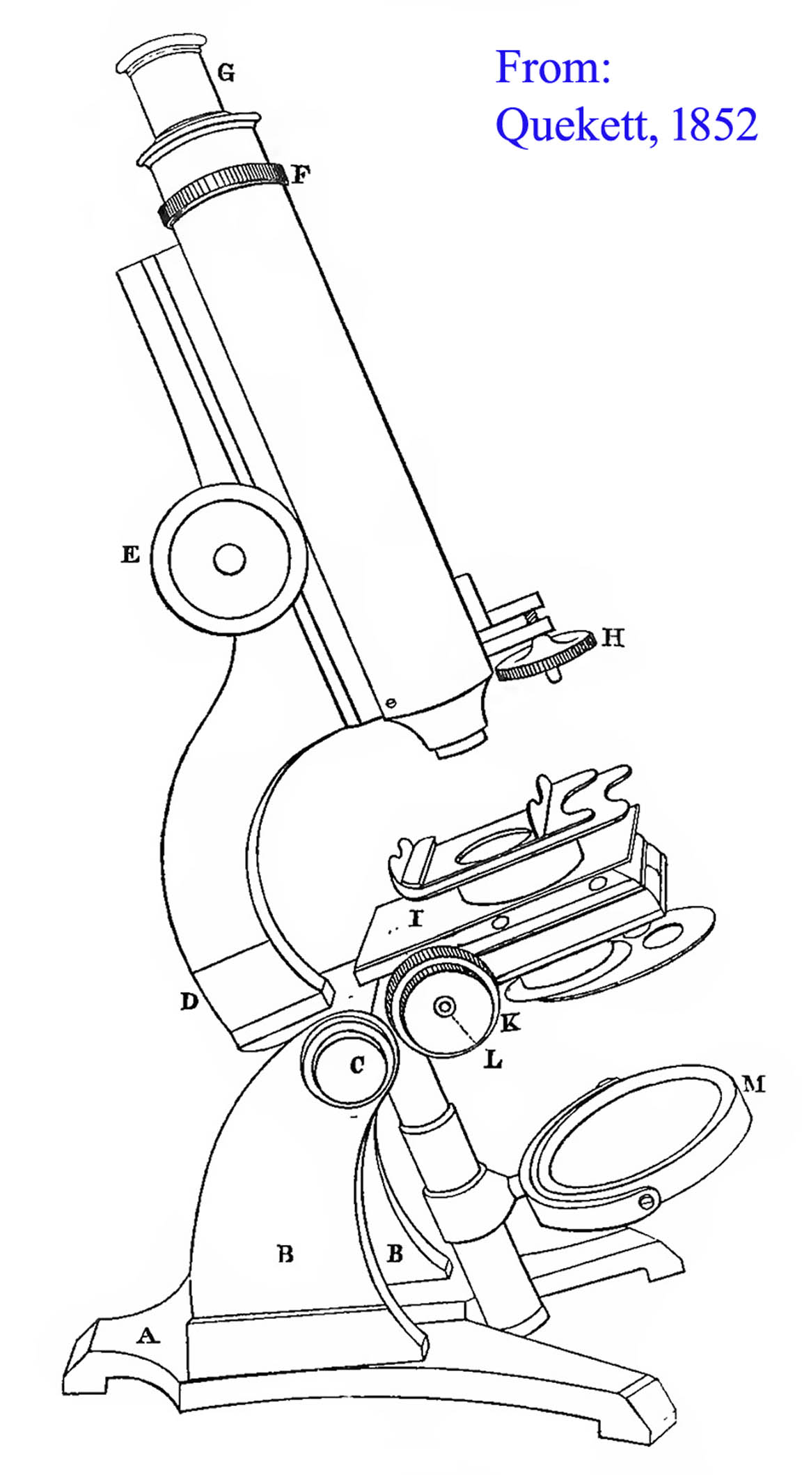 Large Pillischer microscope