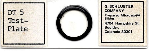 Traceratium favus diatom Slide by Schlueter